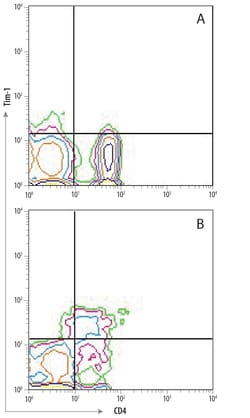 Human TIM-1/KIM-1/HAVCR Antibody, R D Systems:Antibodies:Primary Antibodies