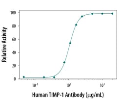 Human TIMP-1 Antibody, R D Systems 100&mu;g; Unlabeled:Antibodies, Polyclonal