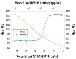 Mouse TL1A/TNFSF15 Antibody, R D Systems 25&mu;g; Unlabeled:Antibodies,