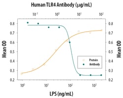 Human TLR4 Antibody, R D Systems 25&mu;g; Unlabeled:Antibodies, Polyclonal