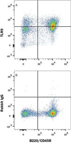 Mouse TLR9 Antibody, R D Systems 25 &mu;g | Buy Online | R&D Systems | Fisher Scientific