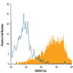 Human TM4SF1/L6 Antibody, R D Systems 100ug; Unlabeled:Antibodies, Monoclonal