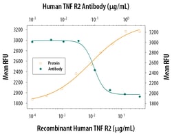 Human TNF RII/TNFRSF1B Antibody, R D Systems 100&mu;g; Unlabeled:Antibodies,