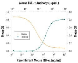 Mouse TNF-alpha Antibody, R D Systems 1 mg | Buy Online | R&D Systems | Fisher Scientific