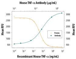 Human/Mouse TNF-alpha Antibody, R D Systems 100&mu;g; Unlabeled:Antibodies,