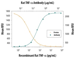 Rat TNF-alpha Antibody, R D Systems 100&mu;g; Unlabeled:Antikroppar