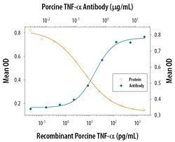 Porcine TNF-alpha Antibody, R D Systems 25&mu;g; Unlabeled:Antibodies,