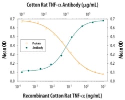 Cotton Rat TNF-alpha Antibody, R D Systems 25&mu;g; Unlabeled:Antibodies,