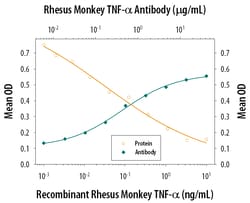 Rhesus Macaque TNF-alpha Antibody, R D Systems 500ug; Unlabeled:Antibodies,