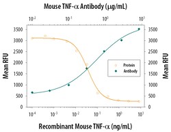 Mouse TNF-alpha Antibody, R D Systems 25&mu;g; Unlabeled:Antibodies, Monoclonal