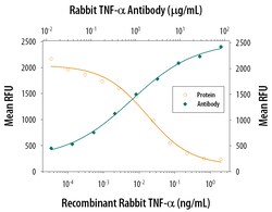 Rabbit TNF-alpha Antibody, R D Systems 25&mu;g; Unlabeled:Antibodies, Monoclonal
