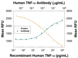 Human TNF-alpha Antibody, R D Systems:Antibodies:Primary Antibodies