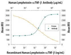 Human Lymphotoxin-alpha/TNF-beta Antibody, R D Systems 1mg; Unlabeled:Antibodies,