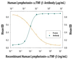 Human Lymphotoxin-alpha/TNF-beta Antibody, R D Systems 100&mu;g; Unlabeled:Antibodies,