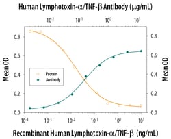 Human Lymphotoxin-alpha/TNF-beta Antibody, R D Systems 500ug; Unlabeled:Antibodies,