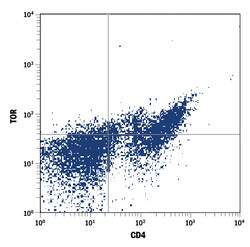 anti-TOR, PE, Clone: 303728, R D Systems 100 Tests; PE:Antibodies, Monoclonal