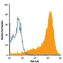 Human TRA-1-81 Antibody, R D Systems 100&mu;g; Unlabeled:Antibodies, Monoclonal