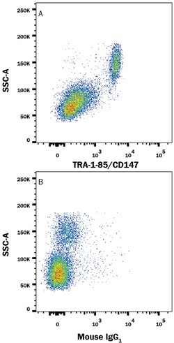 Human TRA-1-85/CD147 Alexa Fluor 700-conjugated Antibody, R D Systems 100