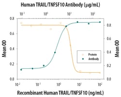 Human TRAIL/TNFSF10 Antibody, R D Systems:Antibodies:Primary Antibodies