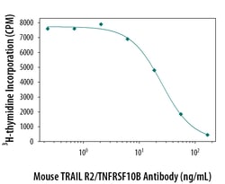 Human TRAIL R2/TNFRSF10B Antibody, R D Systems:Antibodies:Primary Antibodies
