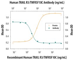 Human TRAIL R3/TNFRSF10C Antibody, R D Systems 100 &mu;g | Buy Online | R&D Systems | Fisher Scientific