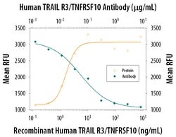 Human TRAIL R3/TNFRSF10C Antibody, R D Systems 500ug; Unlabeled:Antibodies,