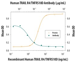 Human TRAILR4/TNFRSF10D Antibody, R D Systems 25&mu;g; Unlabeled:Antibodies,
