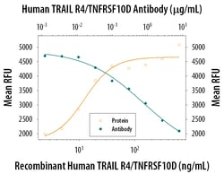 Human TRAILR4/TNFRSF10D Antibody, R D Systems 500ug; Unlabeled:Antibodies,