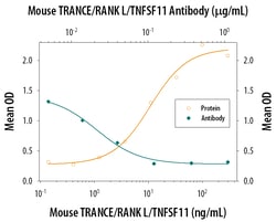 Mouse TRANCE/TNFSF11/RANK L Antibody, R D Systems 100&mu;g; Unlabeled:Antibodies,
