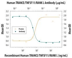 Human TRANCE/TNFSF11/RANK L Antibody, R D Systems 100&mu;g; Unlabeled:Antibodies,