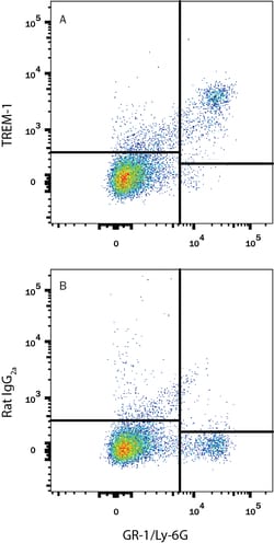 Mouse TREM-1 APC-conjugated Antibody, R D Systems 100 Tests; APC:Antibodies,