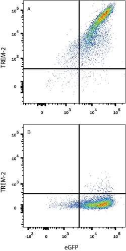 Human/Mouse TREM2 APC-conjugated Antibody, R&D Systems™