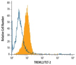 Mouse TREML2/TLT-2 Antibody, R D Systems 25&mu;g; Unlabeled:Antibodies,