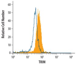 Human TRIM Antibody, R D Systems 100&mu;g; Unlabeled:Antibodies, Polyclonal