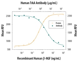 Human TrkA Antibody, R D Systems 100&mu;g; Unlabeled:Antibodies, Polyclonal