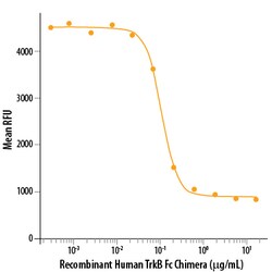 R D Systems Recombinant Human TrkB Fc Chimera Protein 100 &mu;g | Buy Online | R&amp;D Systems&trade; | Fisher Scientific
