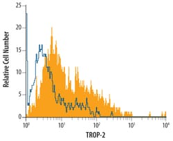 Mouse TROP-2 Antibody, R D Systems 25&mu;g; Unlabeled:Antibodies, Polyclonal