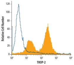 Human TROP-2 Antibody, R D Systems 100&mu;g; Unlabeled:Antibodies, Polyclonal