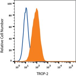Human TROP-2 Fluorescein-conjugated Antibody, R D Systems 100 Tests; Fluorescein:Antibodies,