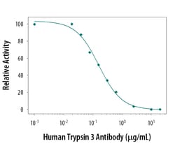 Human Trypsin 3/PRSS3 Antibody, R D Systems 25&mu;g; Unlabeled:Antibodies,