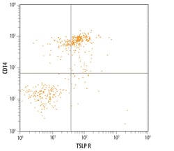 Human TSLPR Antibody, R D Systems 500ug; Unlabeled:Antibodies, Monoclonal