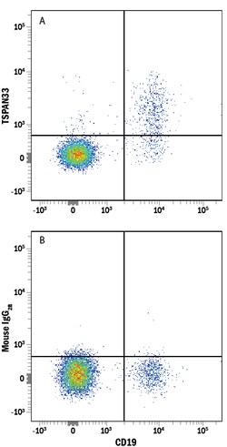 Human TSPAN33 PE-conjugated Antibody, R D Systems 25 Tests; PE:Antibodies,