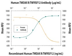Human TWEAK R/TNFRSF12 Antibody, R D Systems 25&mu;g; Unlabeled:Antibodies,