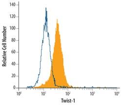 Human Twist-1 Antibody, R D Systems 100&mu;g; Unlabeled:Antibodies, Polyclonal