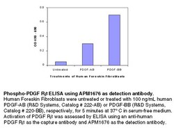 Phospho-Tyrosine Alkaline Phosphatase-conjugated Antibody, R D Systems