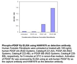 Phospho-Tyrosine HRP-conjugated Antibody, R D Systems 100uL; HRP:Antibodies,