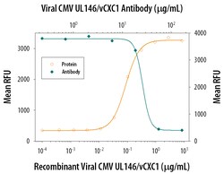 Viral CMV UL146/vCXC1 Antibody, R D Systems 100&mu;g; Unlabeled:Antibodies,