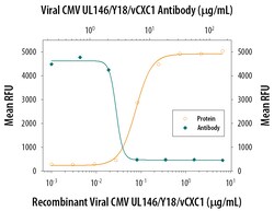 Viral CMV UL146/vCXC1 Antibody, R D Systems 25μg; Unlabeled:Antibodies,