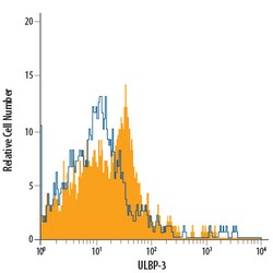 Human ULBP-3 PE-conjugated Antibody, R D Systems 100 Tests; PE:Antibodies,
