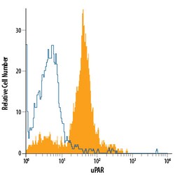 anti-uPAR, PE, Clone: 109801, R D Systems 100 Tests; PE:Antibodies, Monoclonal